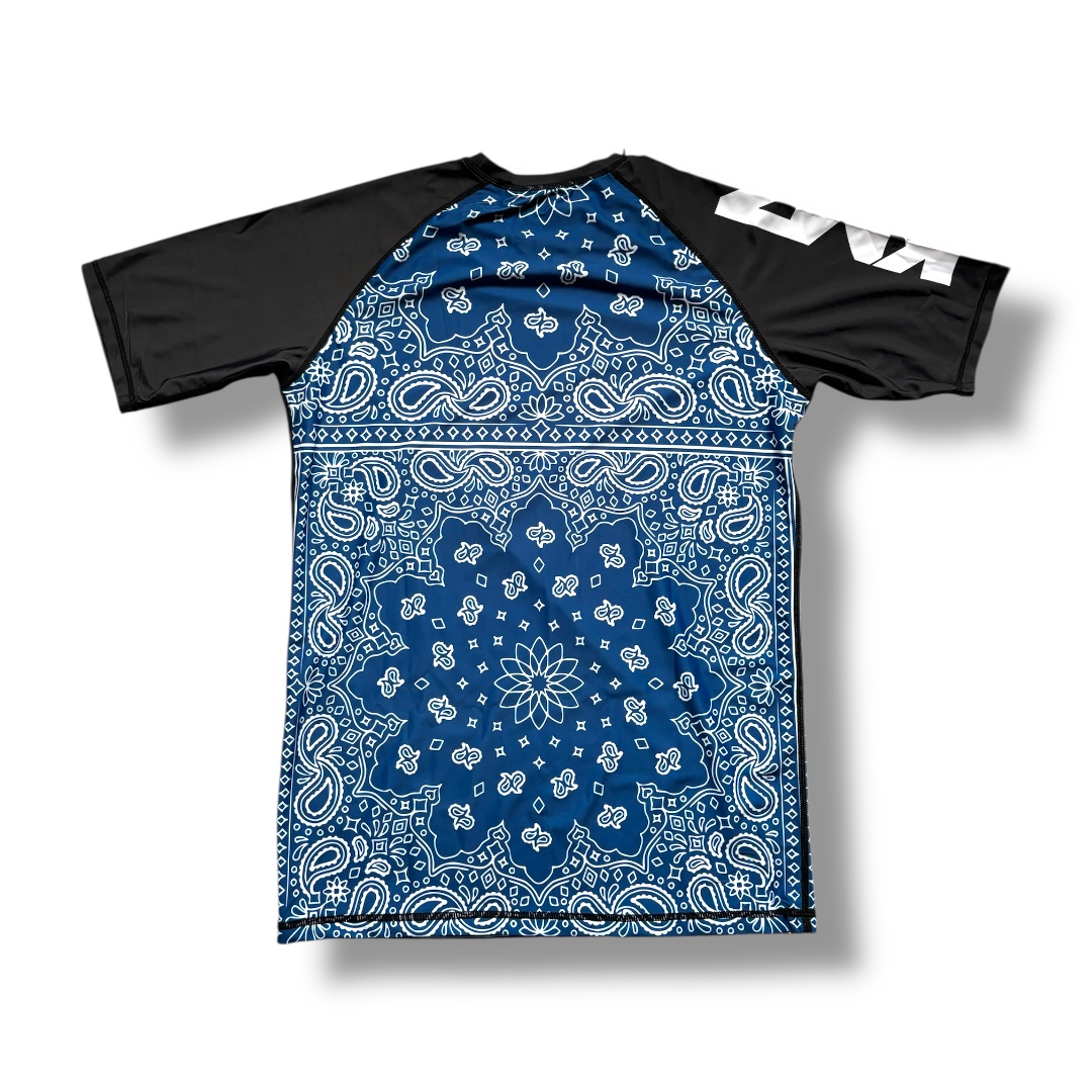 Rashguard PAISLEY-azul - Imagen 2